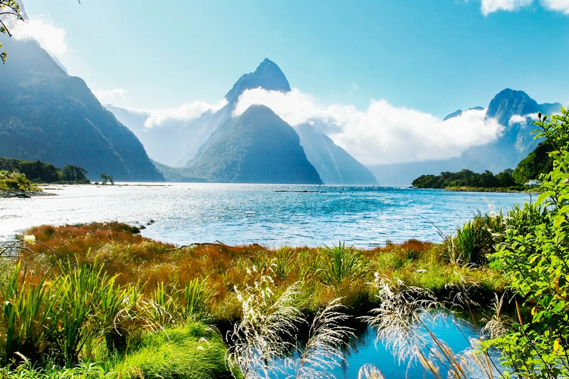 Milford Sound fjorden med Mitre Peak i baggrunden Milford Sound fjorden med Mitre Peak i baggrunden