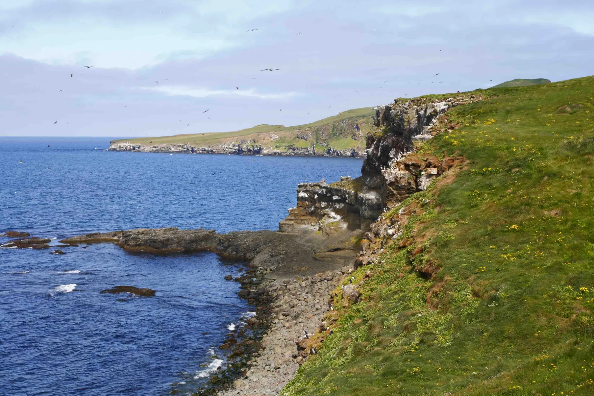 Kystlinjen ved Grimsey Kystlinjen ved Grimsey