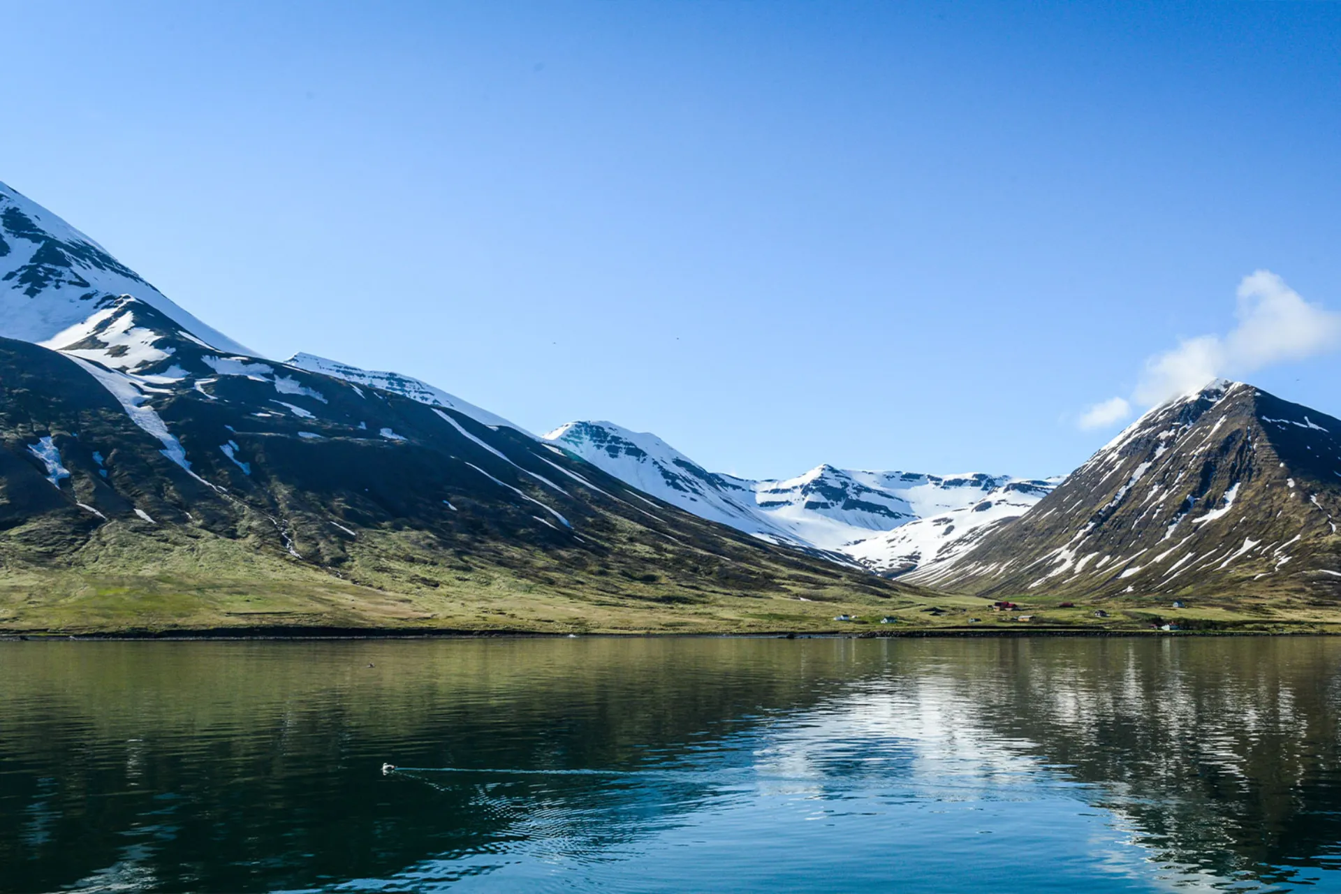 Fjordlandskabet ved Siglufjörður i Nordisland Fjordlandskabet ved Siglufjörður i Nordisland