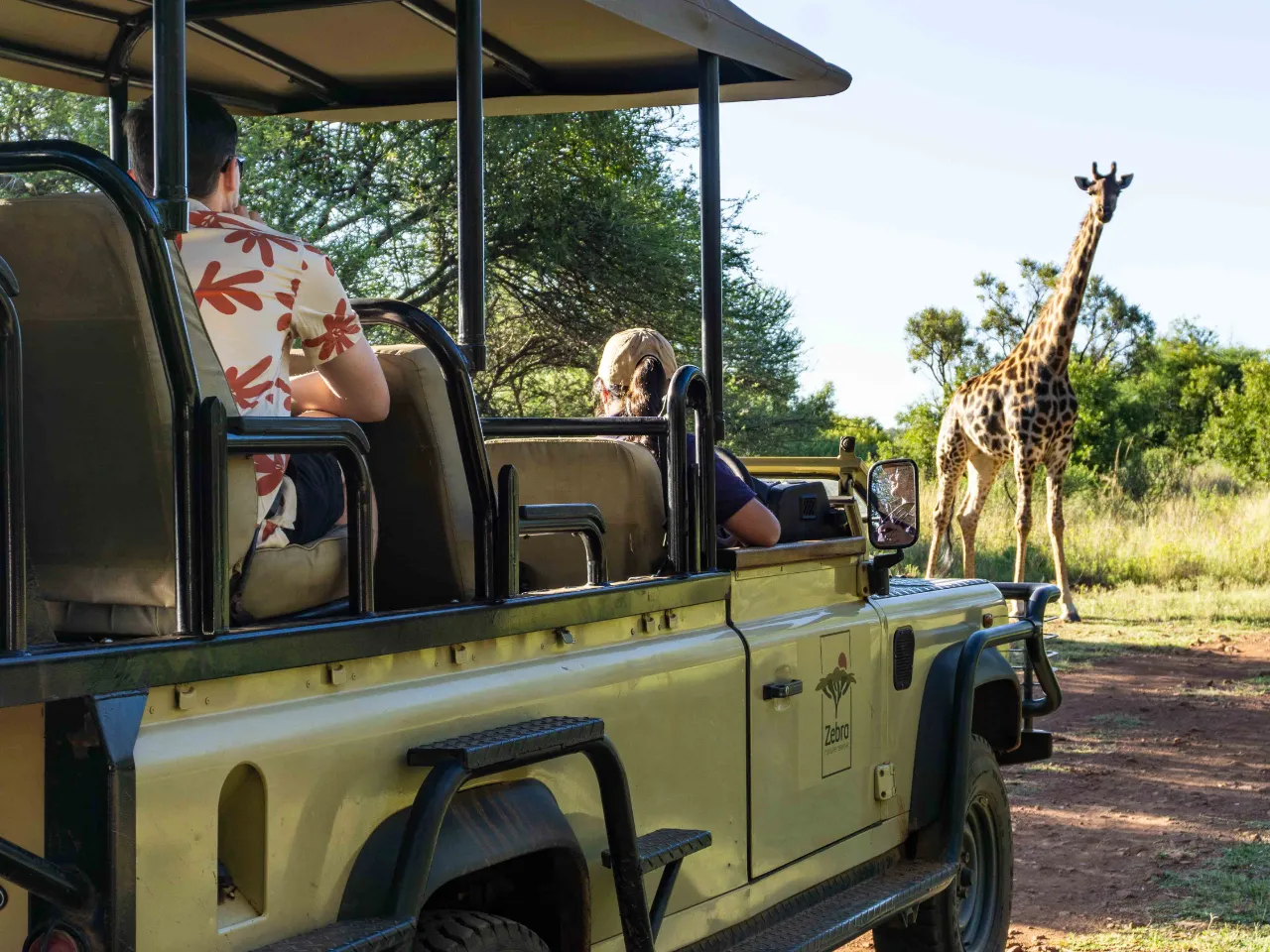 Giraf krydser vores vej Giraf krydser vores vej