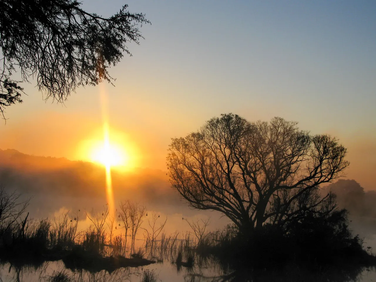Skøn morgenstemning Skøn morgenstemning
