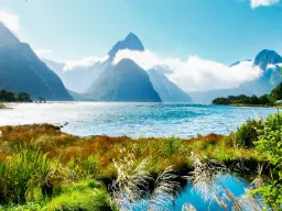 Milford Sound fjorden med Mitre Peak i baggrunden Milford Sound fjorden med Mitre Peak i baggrunden