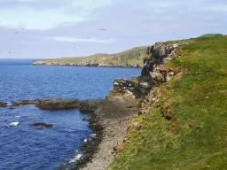 Kystlinjen ved Grimsey Kystlinjen ved Grimsey