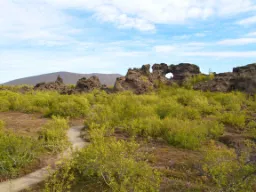 Dimmuborgir betyder “de mørke borge” og er kendt for sine dramatiske lavaformationer Dimmuborgir betyder “de mørke borge” og er kendt for sine dramatiske lavaformationer