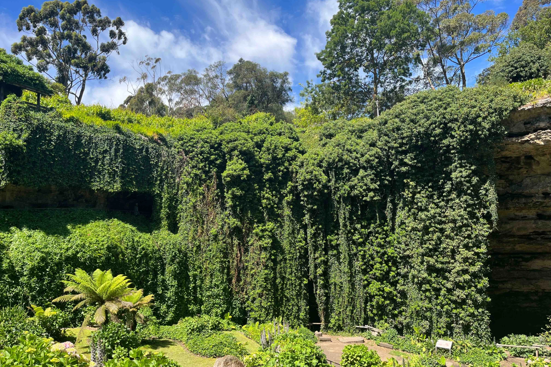 Umpherston Sinkhole, også kendt som Sunken Garden, i Mount Gambier