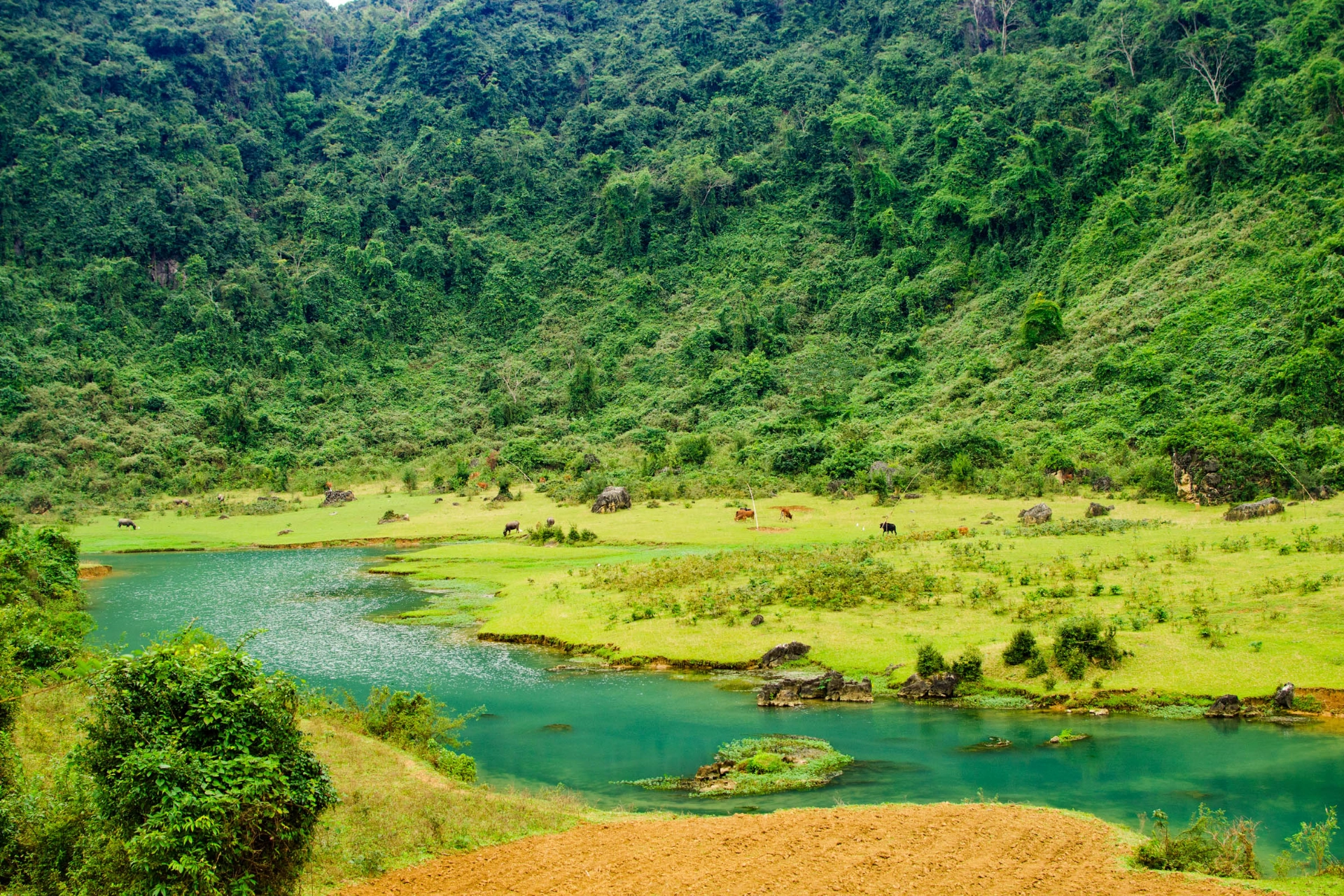 Phoung Nha Nationalpark