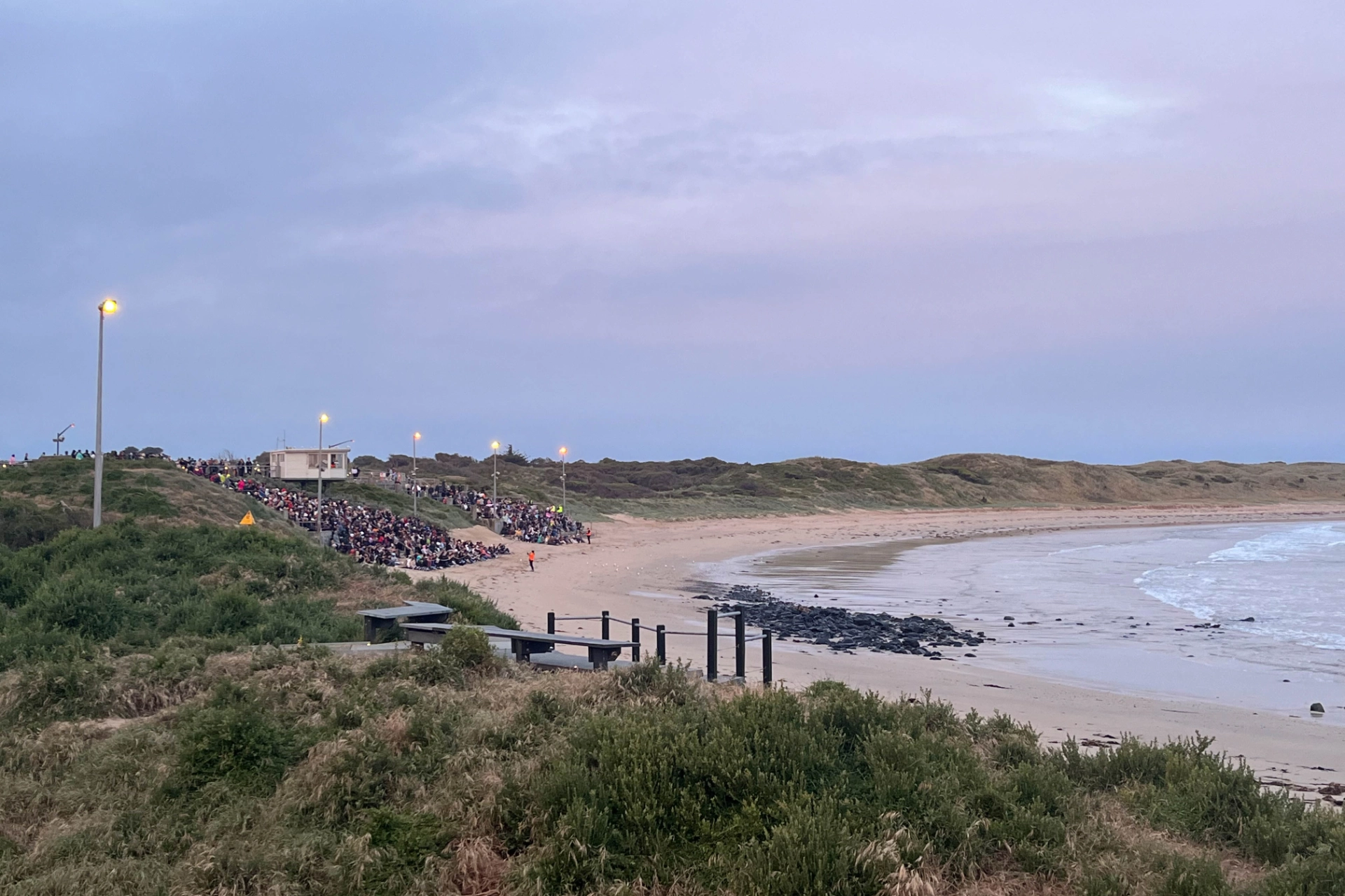 Dværgpingvinerne vender tilbage til Phillip Island ved solnedgang