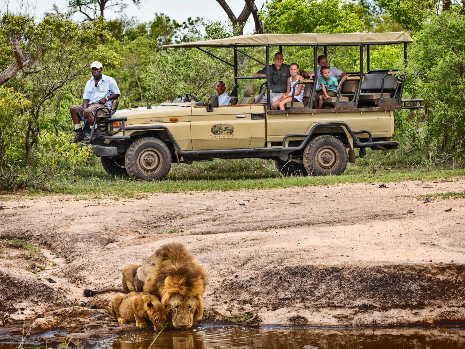 De fleste ansatte på Albatros' camps ved Kruger bor i Welverdiend