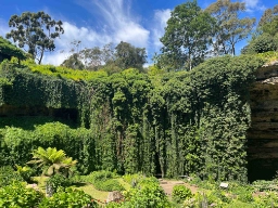 Umpherston Sinkhole, også kendt som Sunken Garden, i Mount Gambier