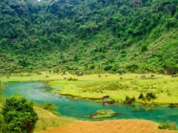 Phoung Nha Nationalpark