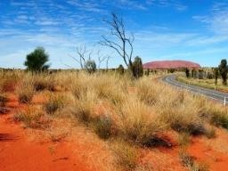 Ayers Rock skifter farve efter solens gang