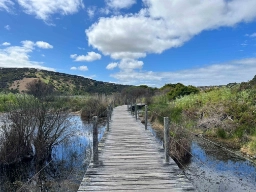 Tower Hill Naturreservat er en gammel vulkansk kratersø