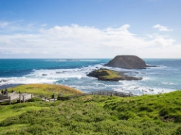 Phillip Island med øen Nobbies Rock i baggrunden